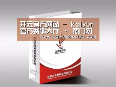项目名称十三