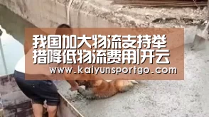 我国加大物流支持举措降低物流费用|开云(图1) 开云体育官网