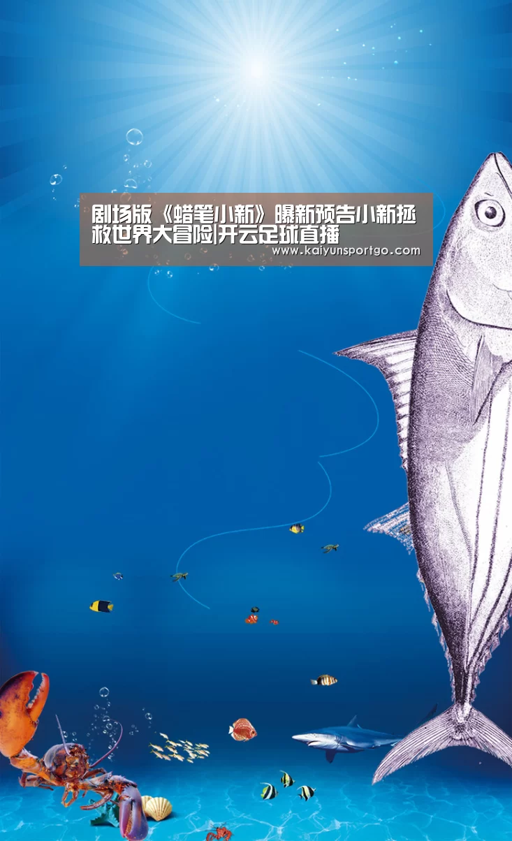 开云足球直播