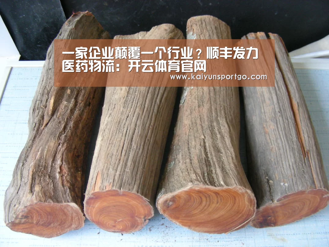 一家企业颠覆一个行业?顺丰发力医药物流:开云体育官网(图4) 开云
