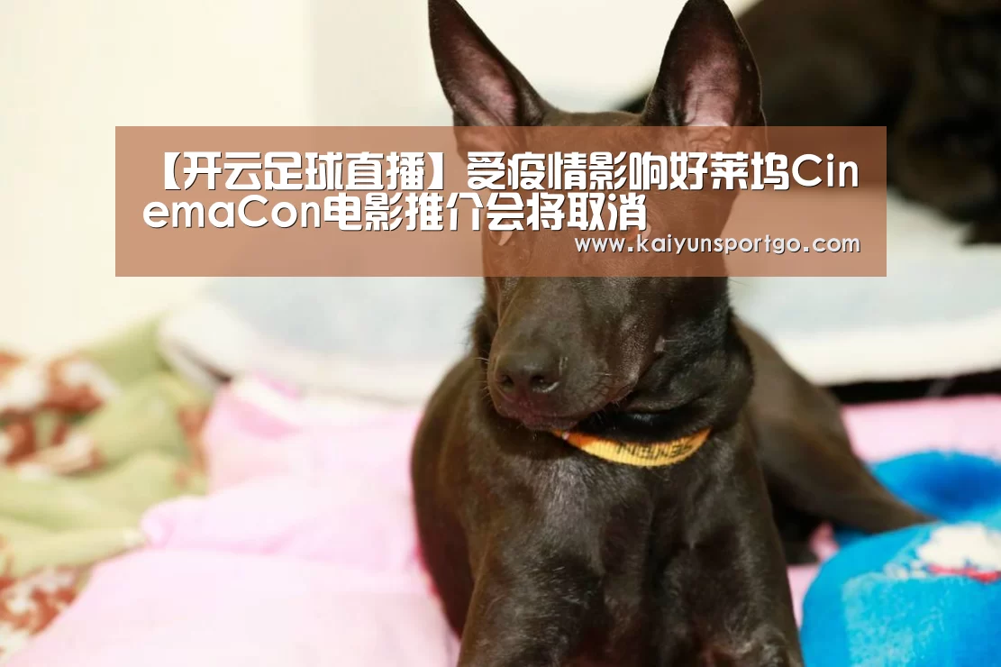 【开云足球直播】受疫情影响好莱坞CinemaCon电影推介会将取消(图1) 开云体育官网