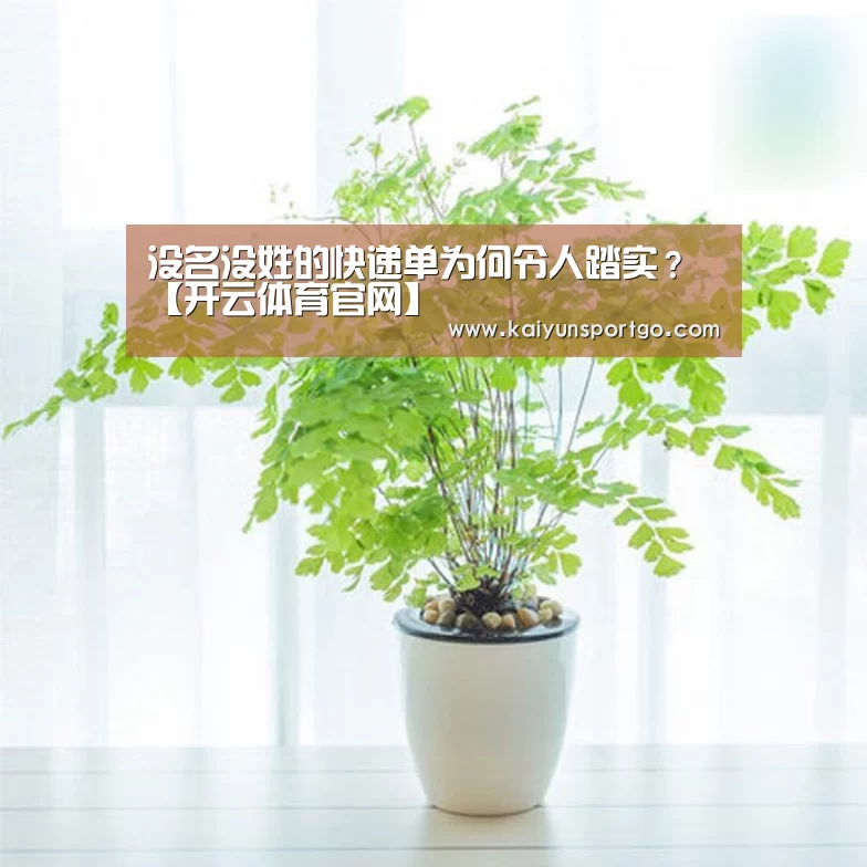 开云体育足球