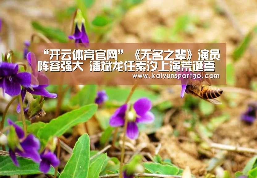“开云体育官网”《无名之辈》演员阵容强大 潘斌龙任素汐上演荒诞喜剧(图2) 开云