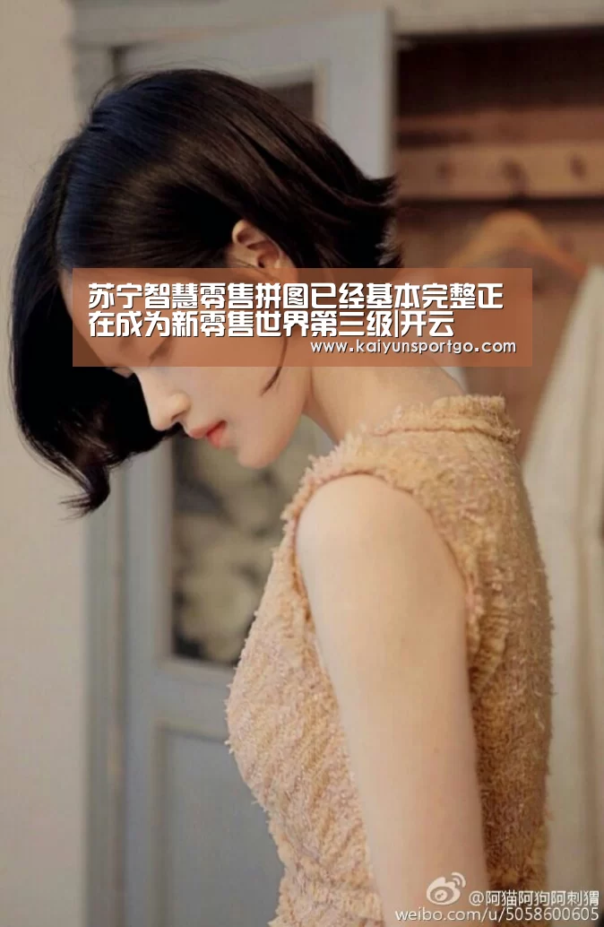 苏宁智慧零售拼图已经基本完整正在成为新零售世界第三级|开云(图1) 开云体育官网