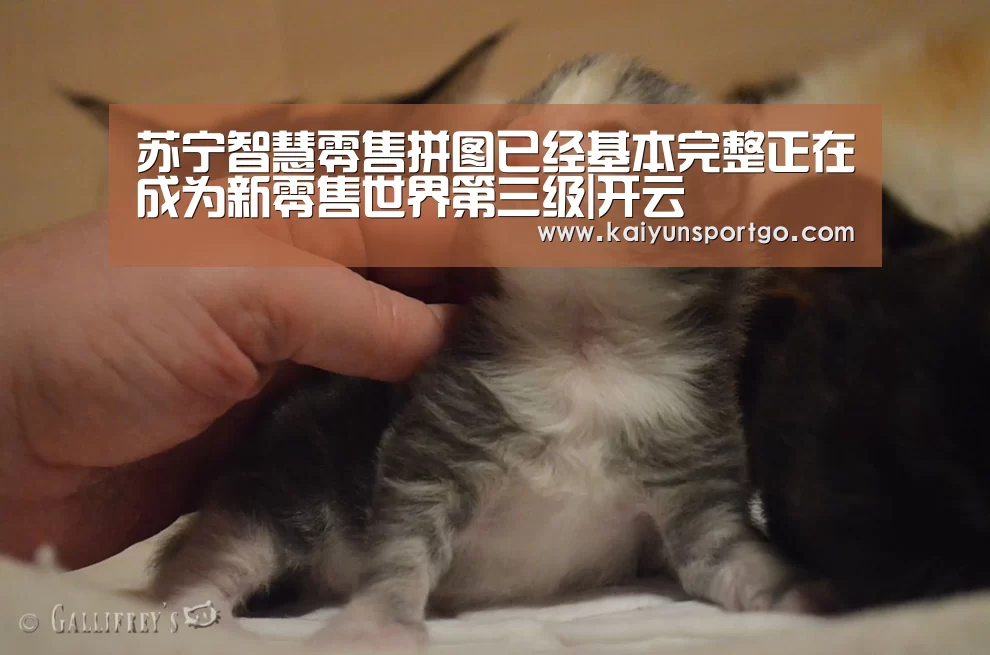 苏宁智慧零售拼图已经基本完整正在成为新零售世界第三级|开云(图4) 开云