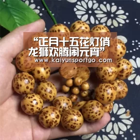 “正月十五花灯俏龙狮欢腾闹元宵”记御驾新苑幼儿园元宵节活动|开云(图3) 开云体育足球